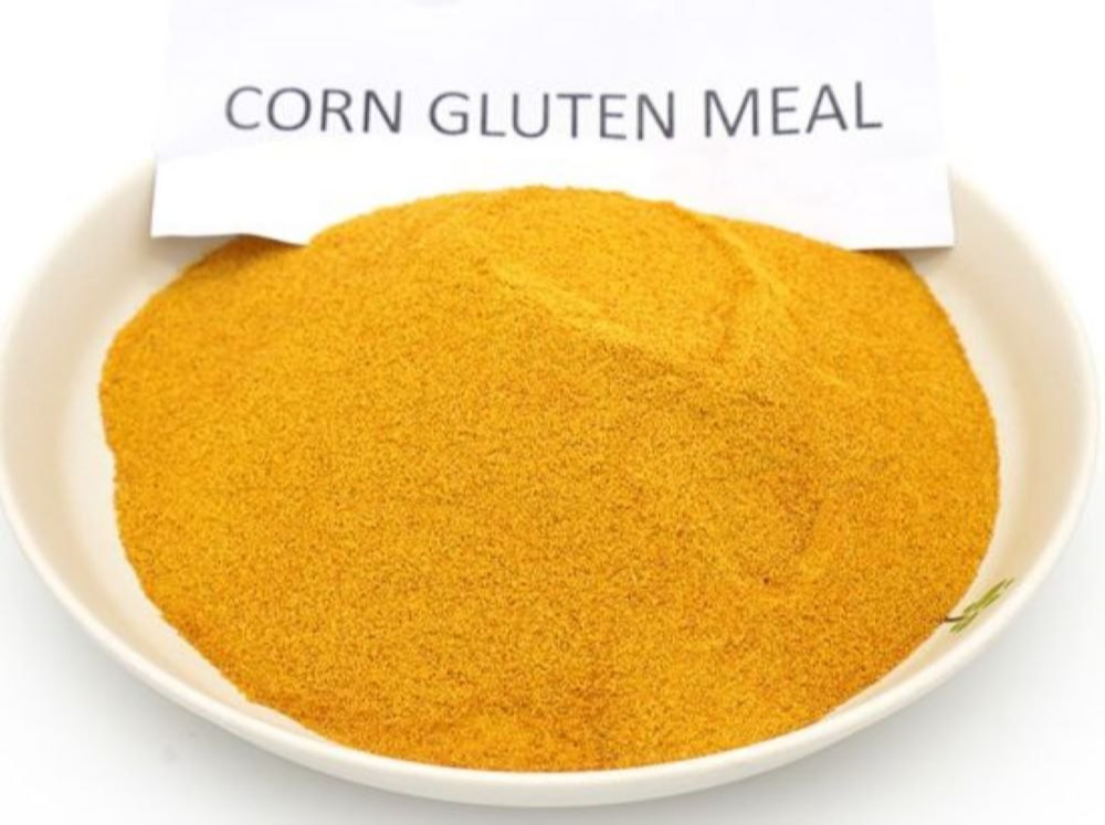 Corn Gluten Meal